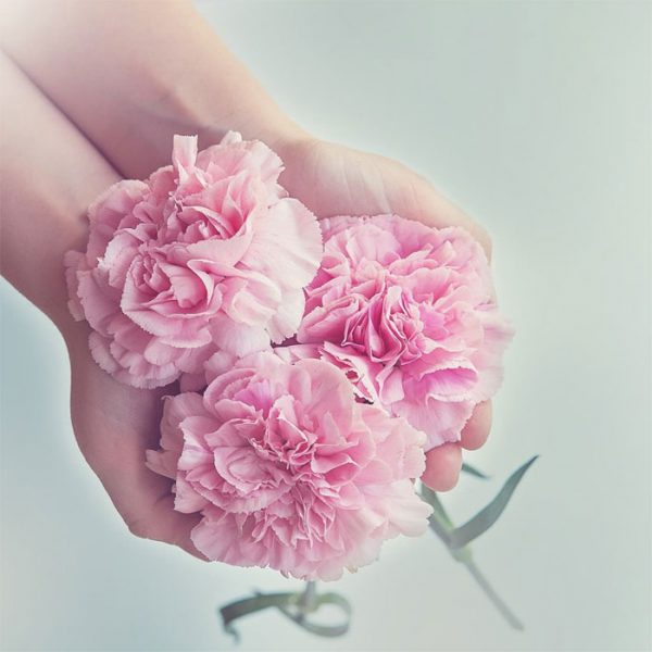 Màu Hường&quot; Là Màu Gì - Nguồn Gốc ❤️ Ý Nghĩa Của Màu Hường