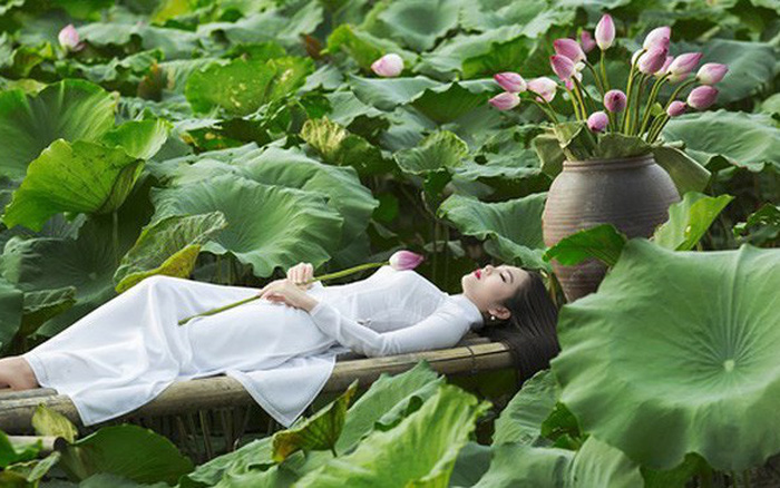 Để có bộ ảnh sen đẹp, bạn cần biết những điều này
