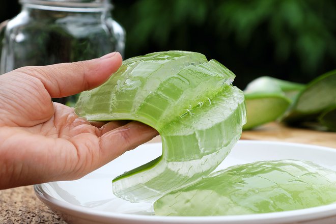 Ai không nên dùng nha đam? - Sức khỏe