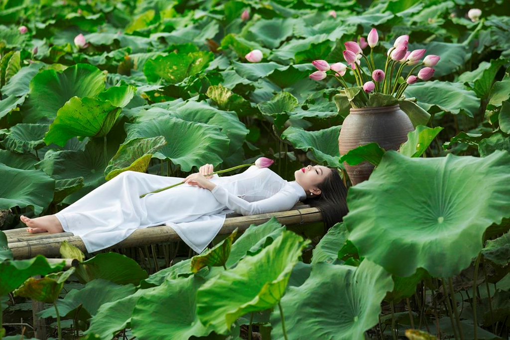 5 địa điểm chụp sen tuyệt đẹp quanh Hà Nội mùa hè này - Du Lịch Chất