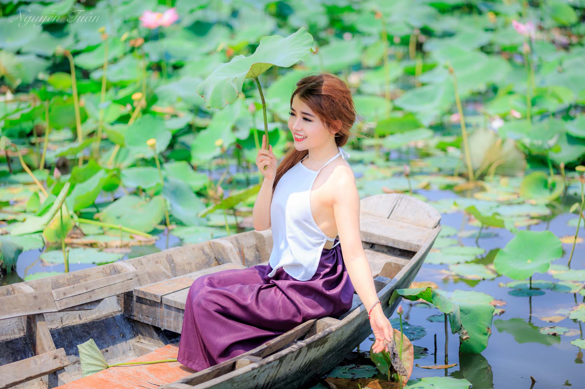 Mẹo chụp ảnh Sen đẹp nhiếp ảnh gia không nên bỏ qua