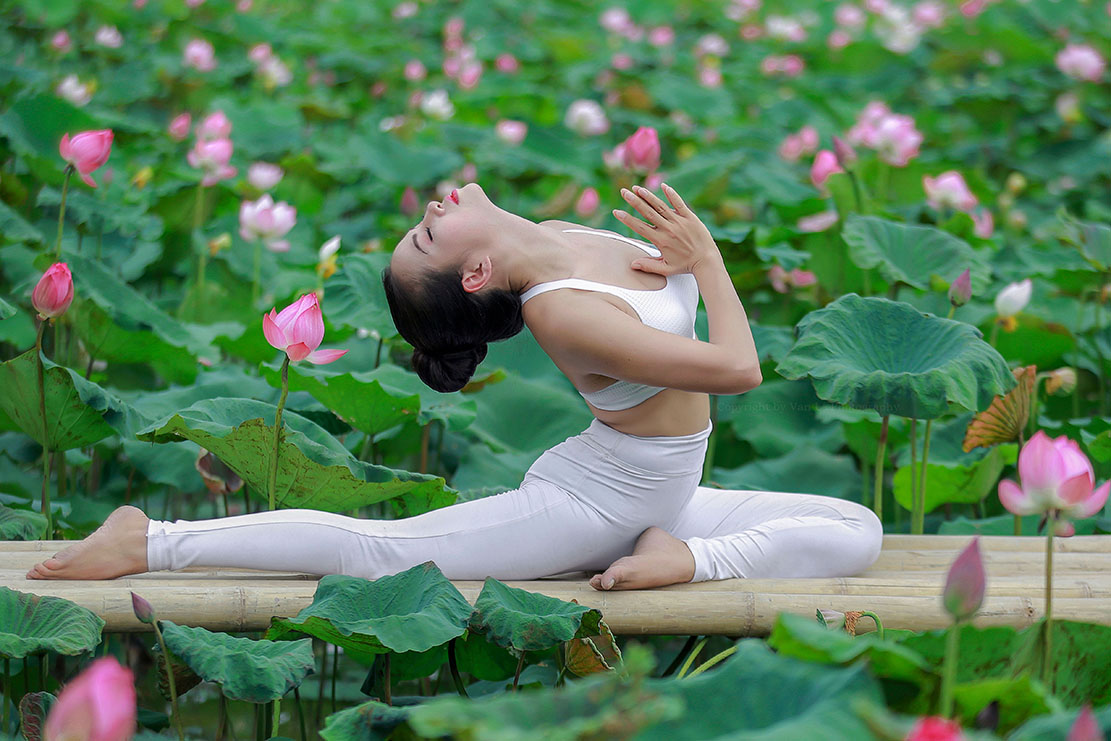 Mãn nhãn với những tư thế yoga bên sen
