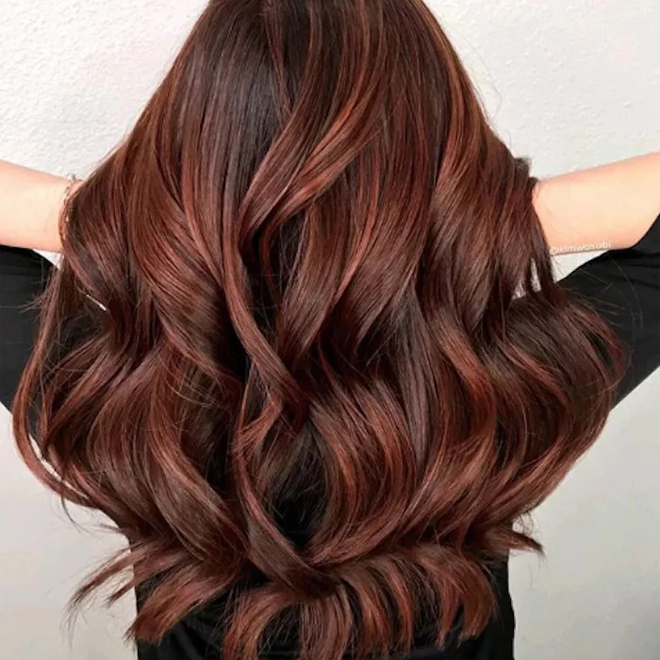 Tóc móc lai đỏ