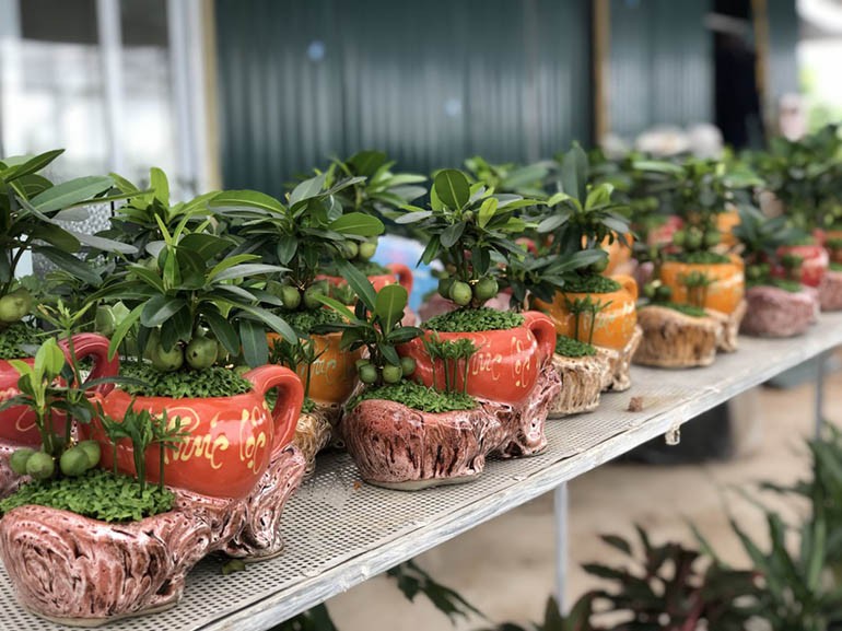 10 quà tặng phong thủy may mắn, tài lộc dành cho gia chủ