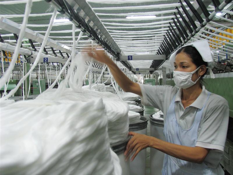 Phân biệt các loại vải sợi tự nhiên – Mẹ Tự Nhiên