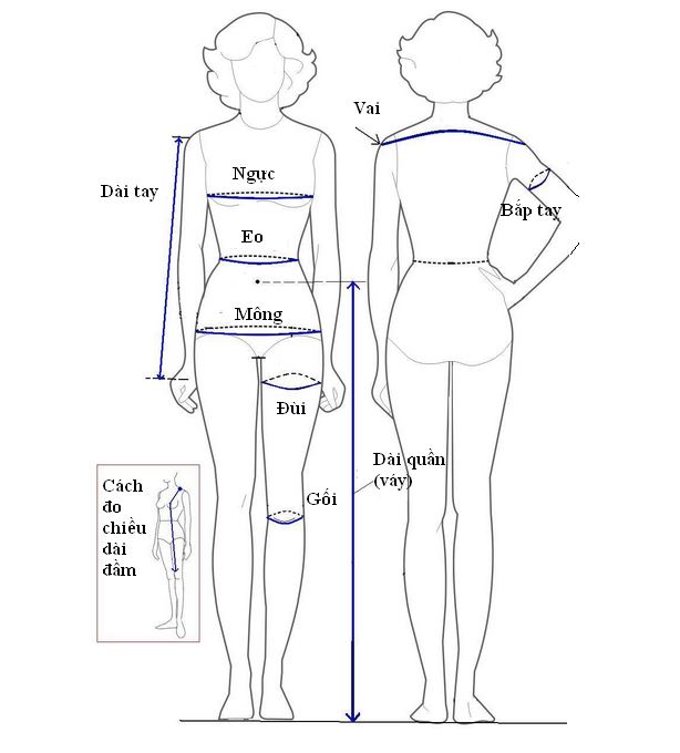 Cách lấy số đo chuẩn như thợ may cho nàng tha hồ diện đồ thiết kế - Vshirt - Thời trang ngoại cỡ