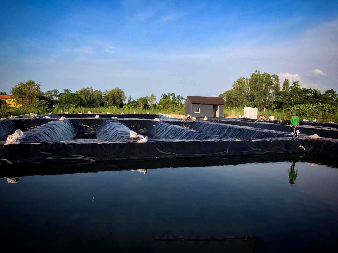 canh-lam-be-lot-bat-nuoi-ca