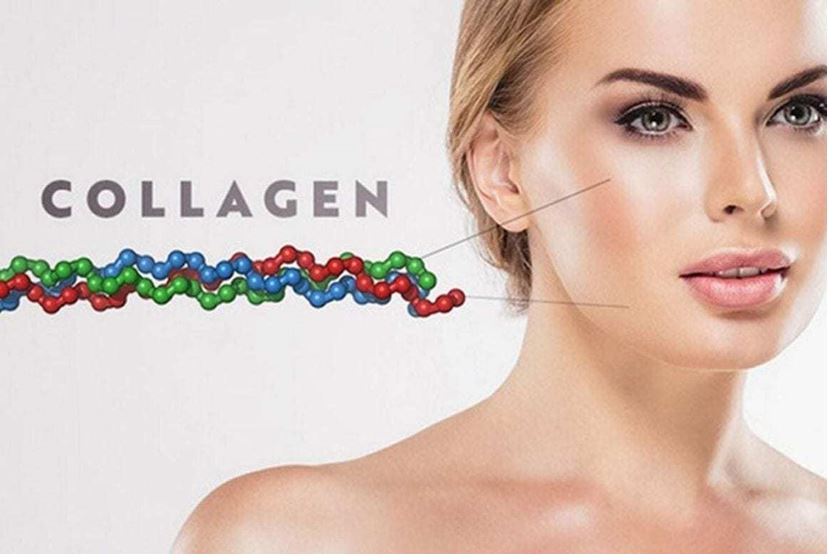 tac-dung-cua-collagen-voi-lan-da